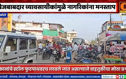 अकोलेतील काही बेशिस्त आणि बेजबाबदार व्यवसायीकांमुळे नागरिकांना मनस्ताप