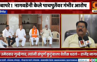 श्रीगोंदा – खळबळजनक ! तो उमेदवार गुन्हेगार, राजेंद्र नागवडेंनी केले विक्रम पाचपुतेंवर गंभीर आरोप
