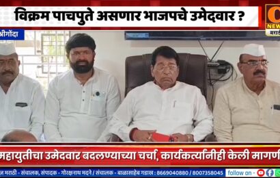 श्रीगोंद्यात विक्रम पाचपुते असणार भाजपचे उमेदवार ?