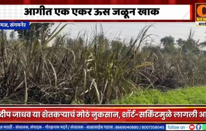 संगमनेर – निमजमध्ये शॉर्ट-सर्किटमुळे एक एकर ऊस जळून खाक